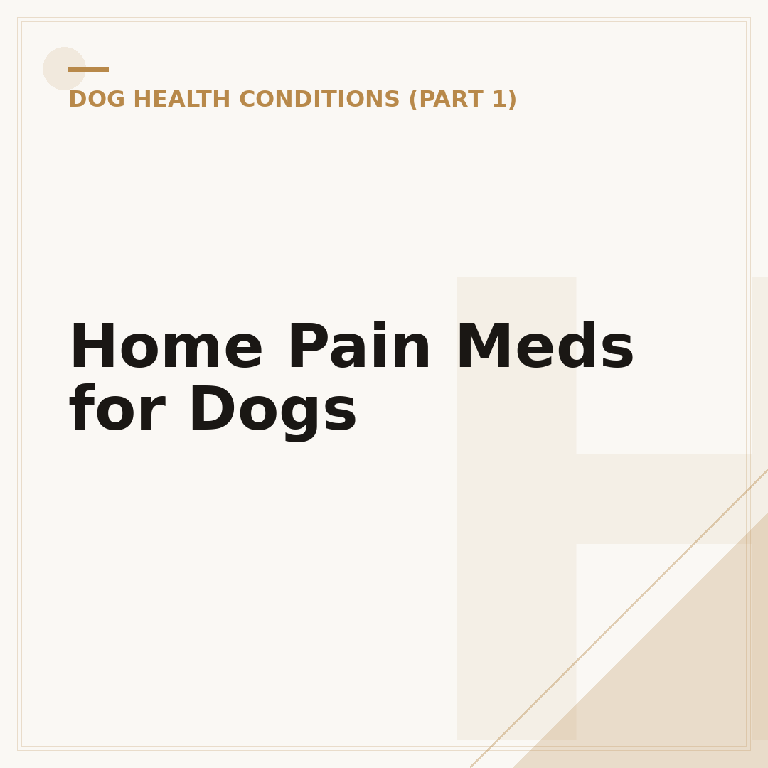 Home Pain Meds for Dogs