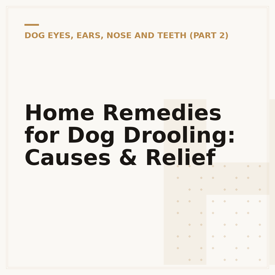 Home Remedies for Dog Drooling: Causes & Relief