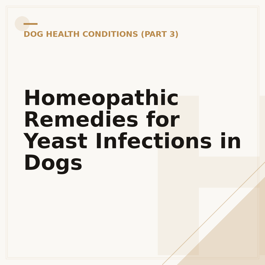 Homeopathic Remedies for Yeast Infections in Dogs