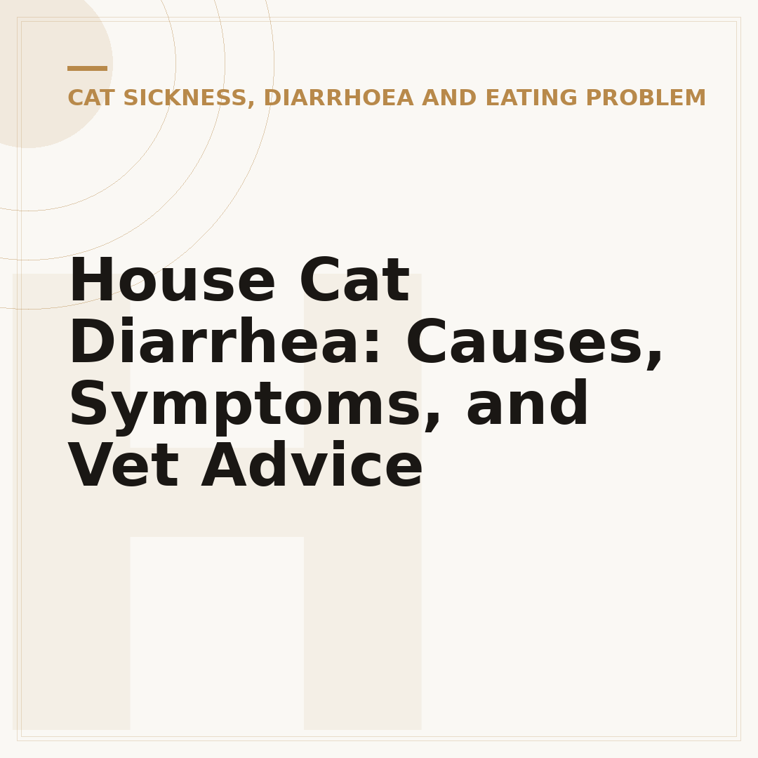 House Cat Diarrhea: Causes, Symptoms, and Vet Advice