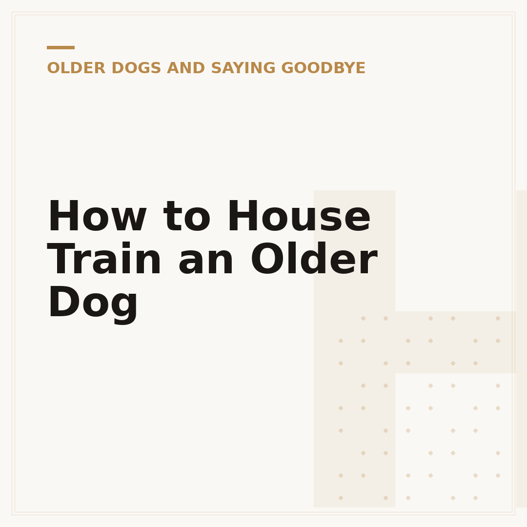 How to House Train an Older Dog