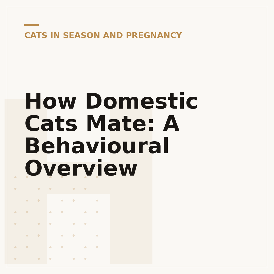 How Domestic Cats Mate: A Behavioural Overview
