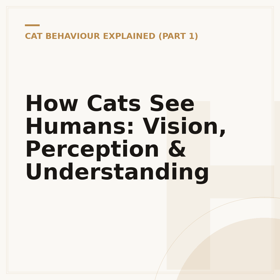 How Cats See Humans: Vision, Perception & Understanding