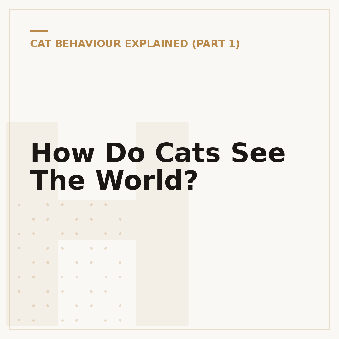 How Do Cats See The World?