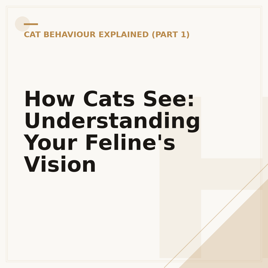 How Cats See: Understanding Your Feline's Vision