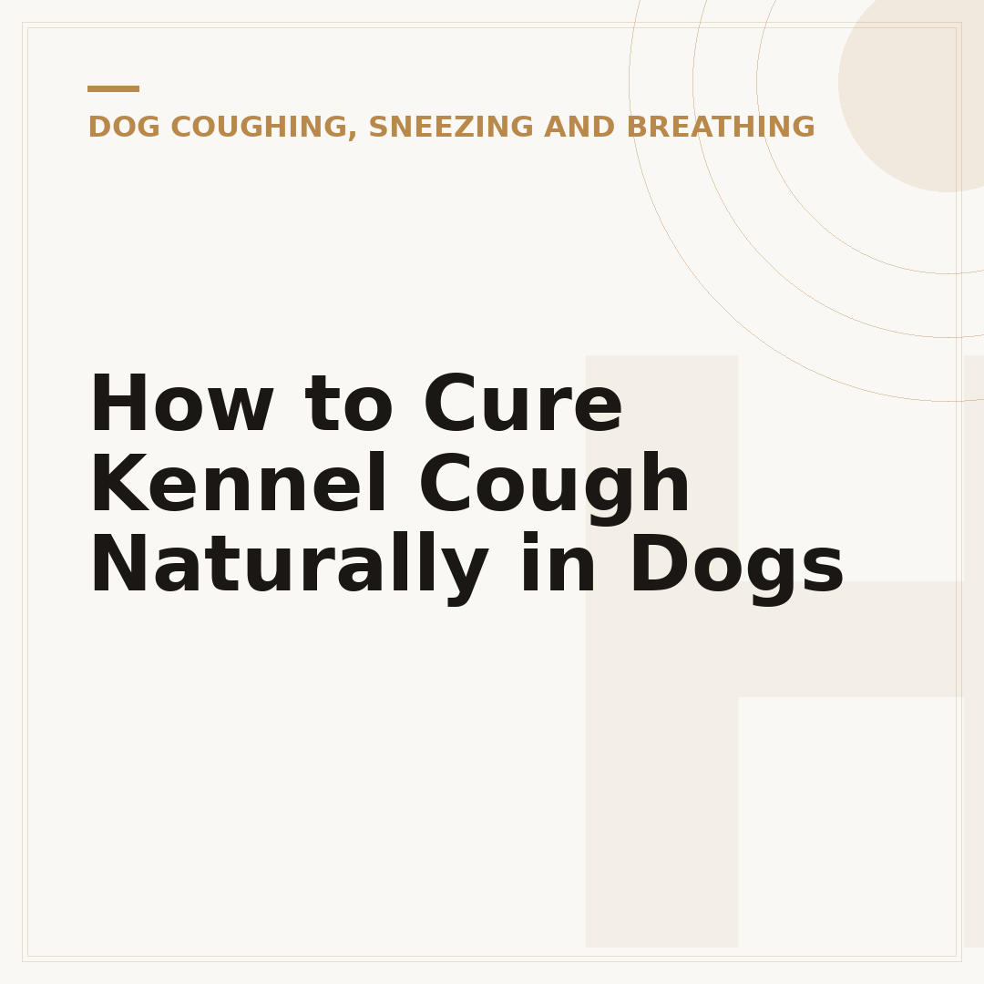 How to Cure Kennel Cough Naturally in Dogs