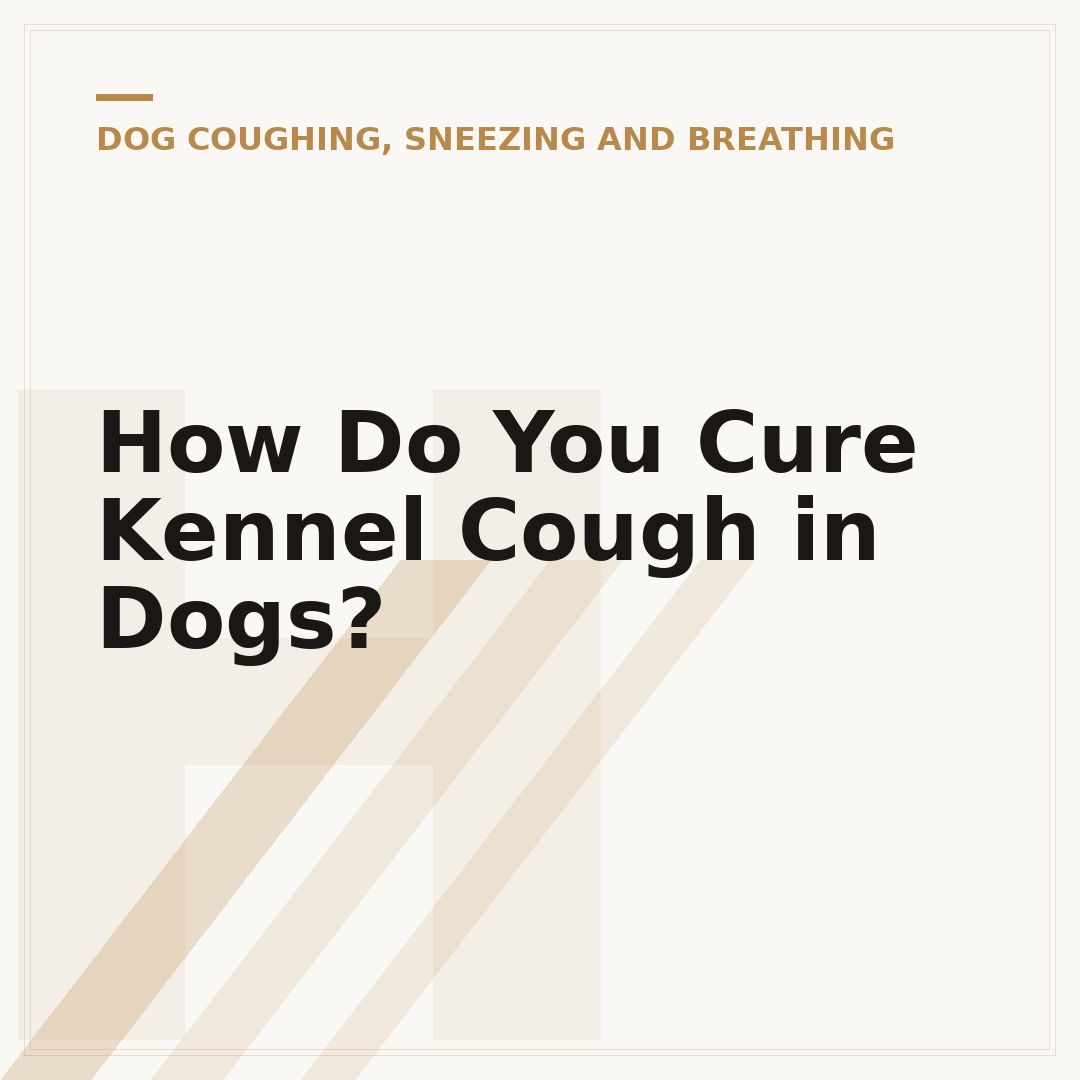 How Do You Cure Kennel Cough in Dogs?