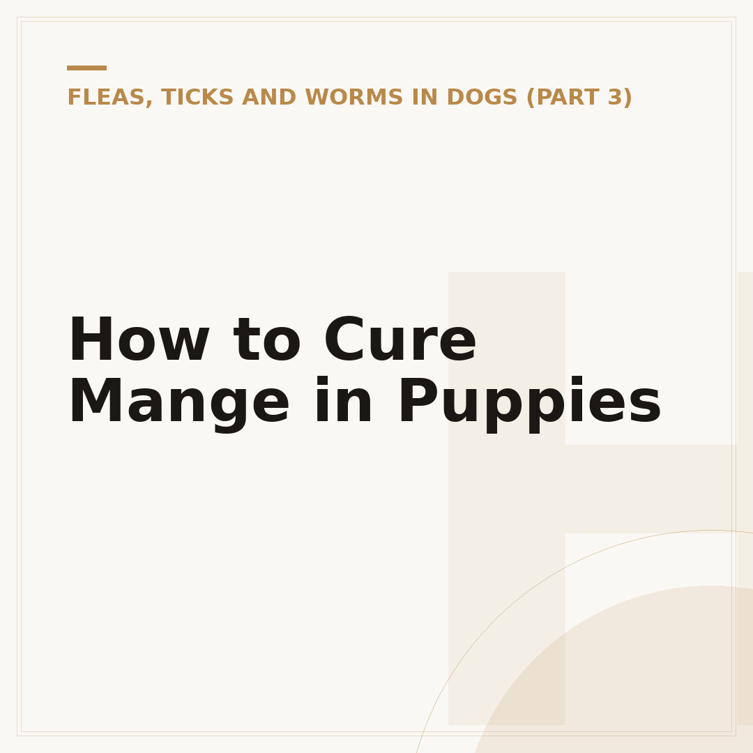 How to Cure Mange in Puppies
