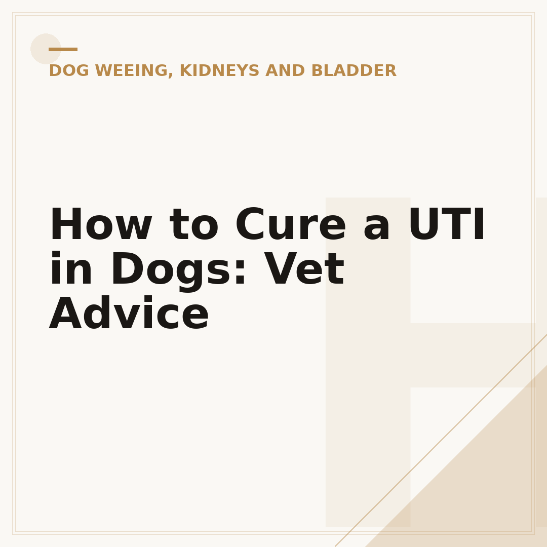 How to Cure a UTI in Dogs: Vet Advice