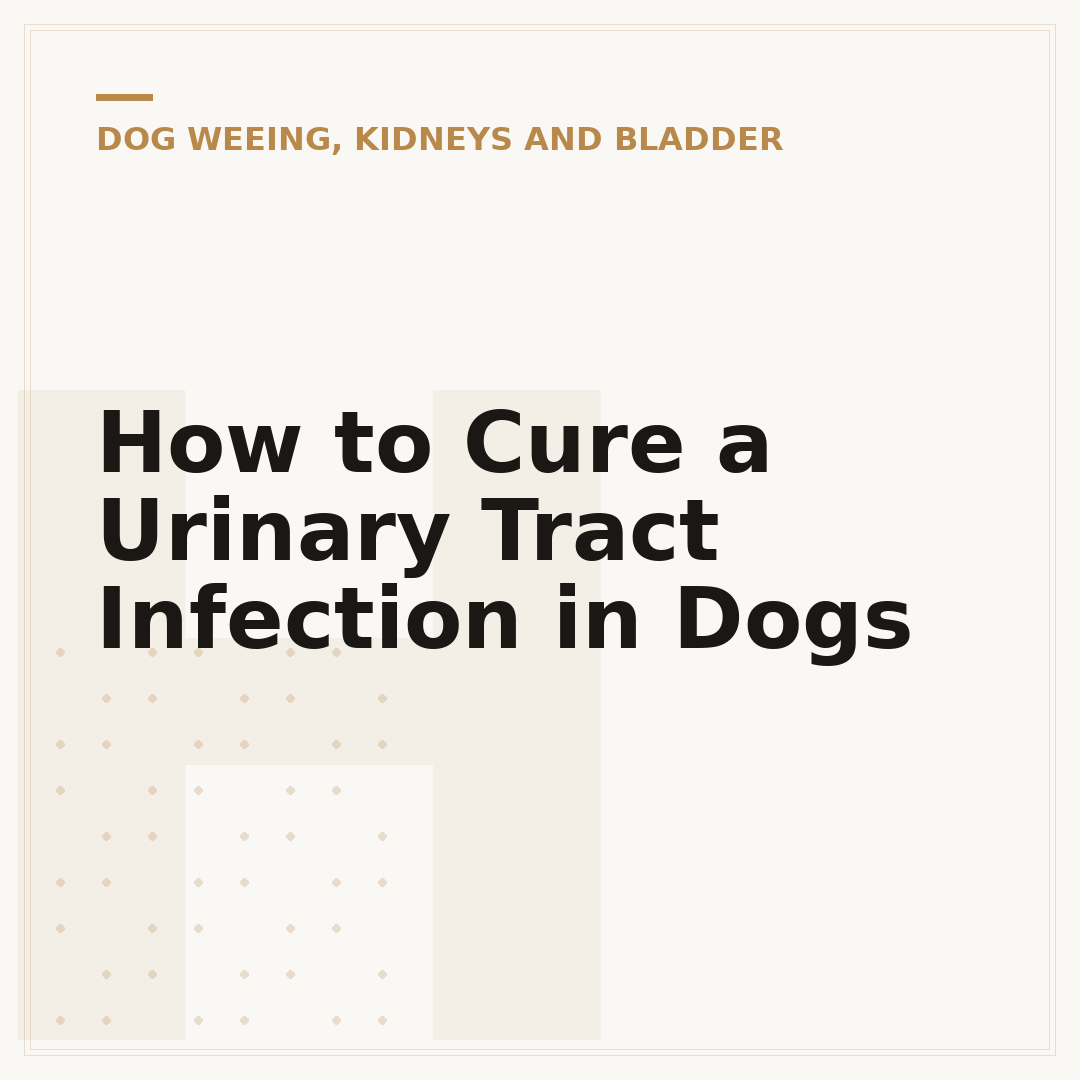 How to Cure a Urinary Tract Infection in Dogs