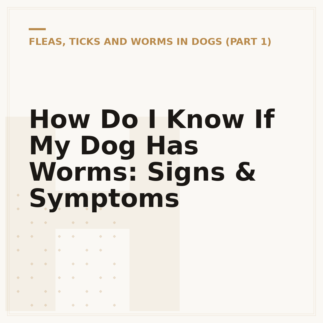 How Do I Know If My Dog Has Worms: Signs & Symptoms