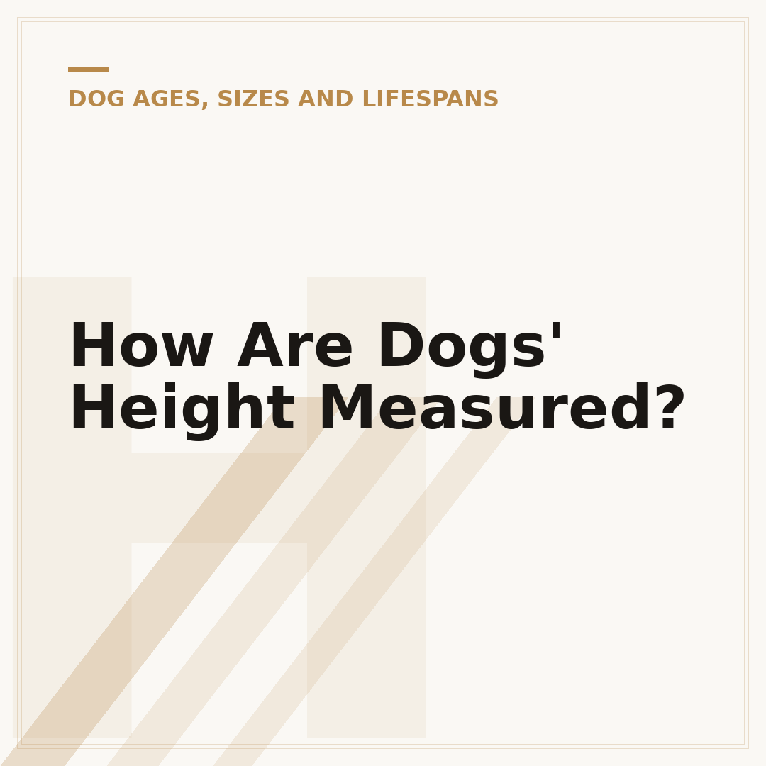 How Are Dogs' Height Measured?
