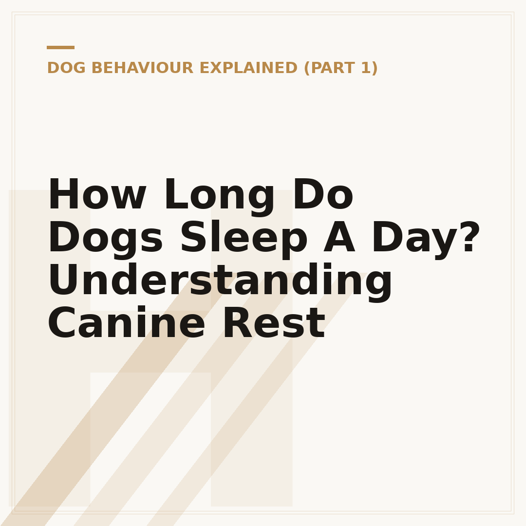 How Long Do Dogs Sleep A Day? Understanding Canine Rest