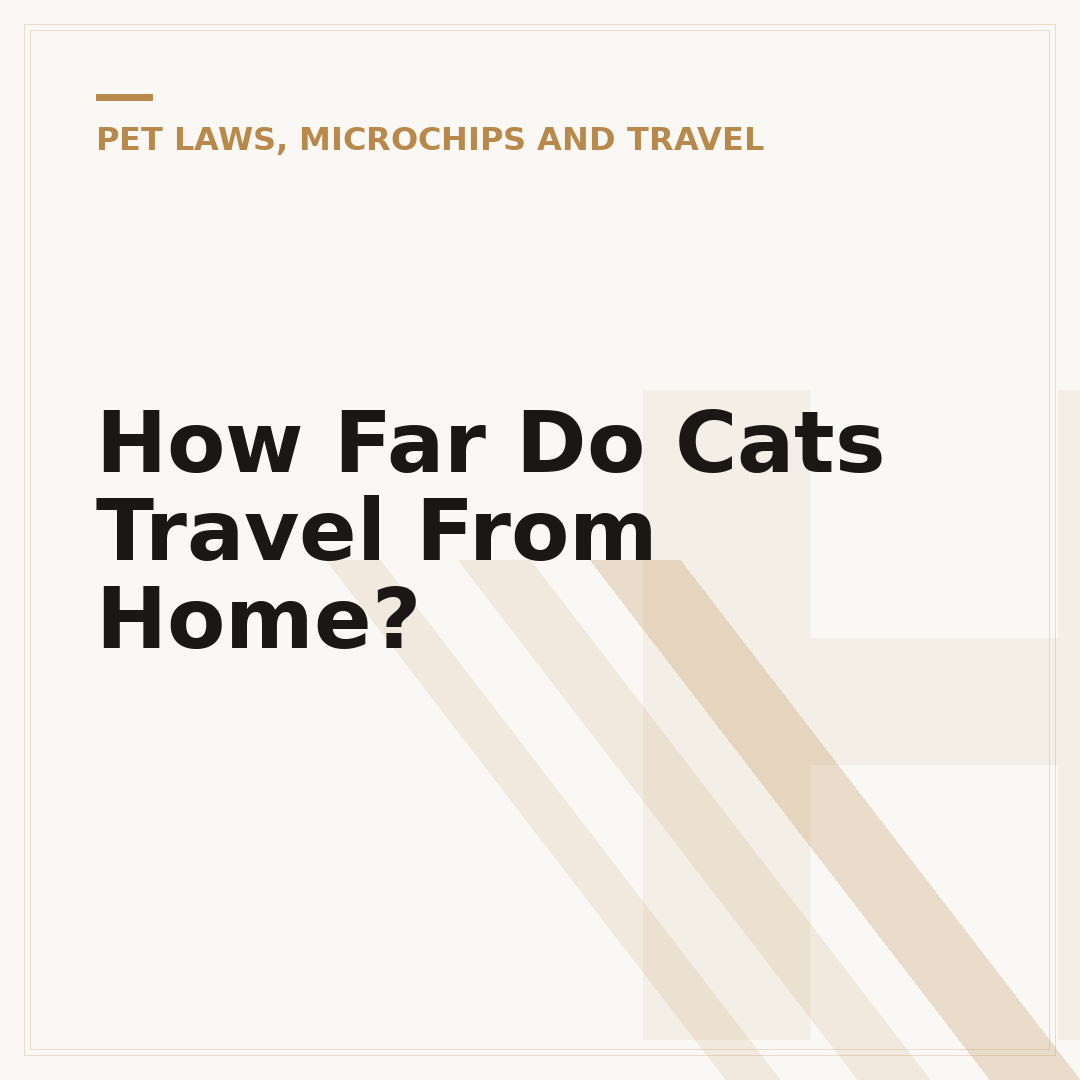 How Far Do Cats Travel From Home?