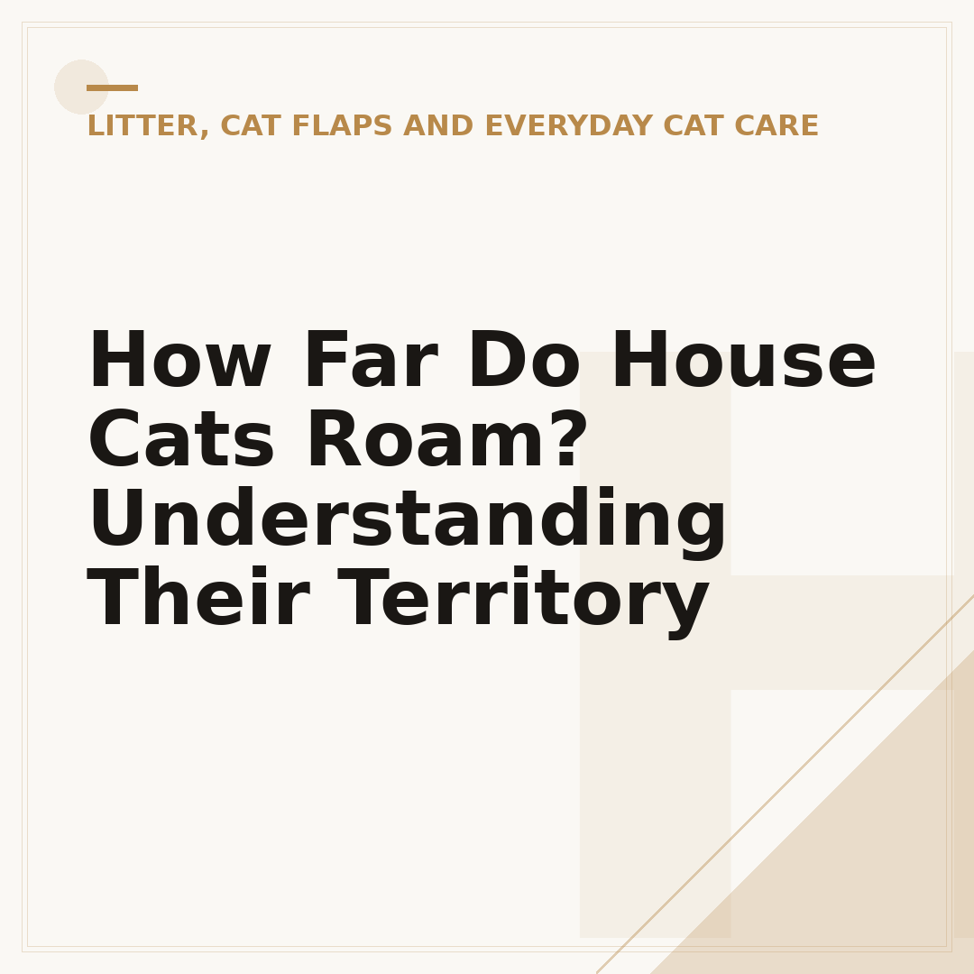 How Far Do House Cats Roam? Understanding Their Territory