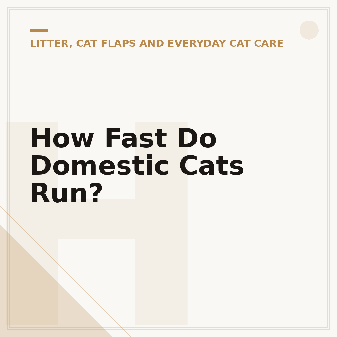 How Fast Do Domestic Cats Run?