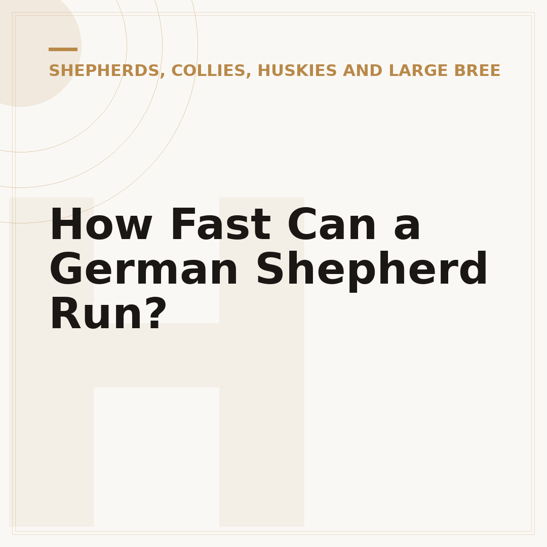 How Fast Can a German Shepherd Run?