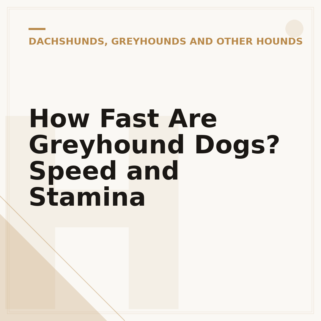 How Fast Are Greyhound Dogs? Speed and Stamina