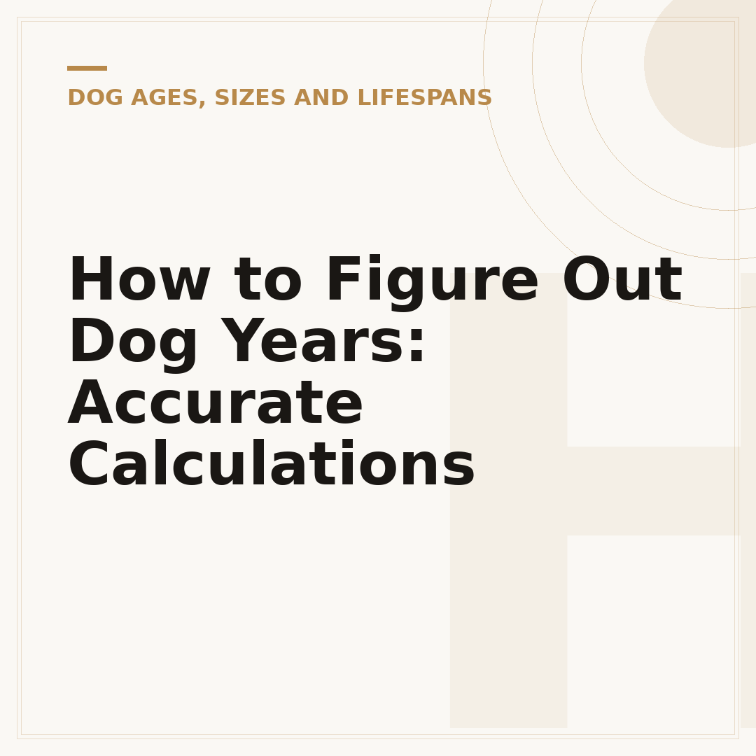 How to Figure Out Dog Years: Accurate Calculations