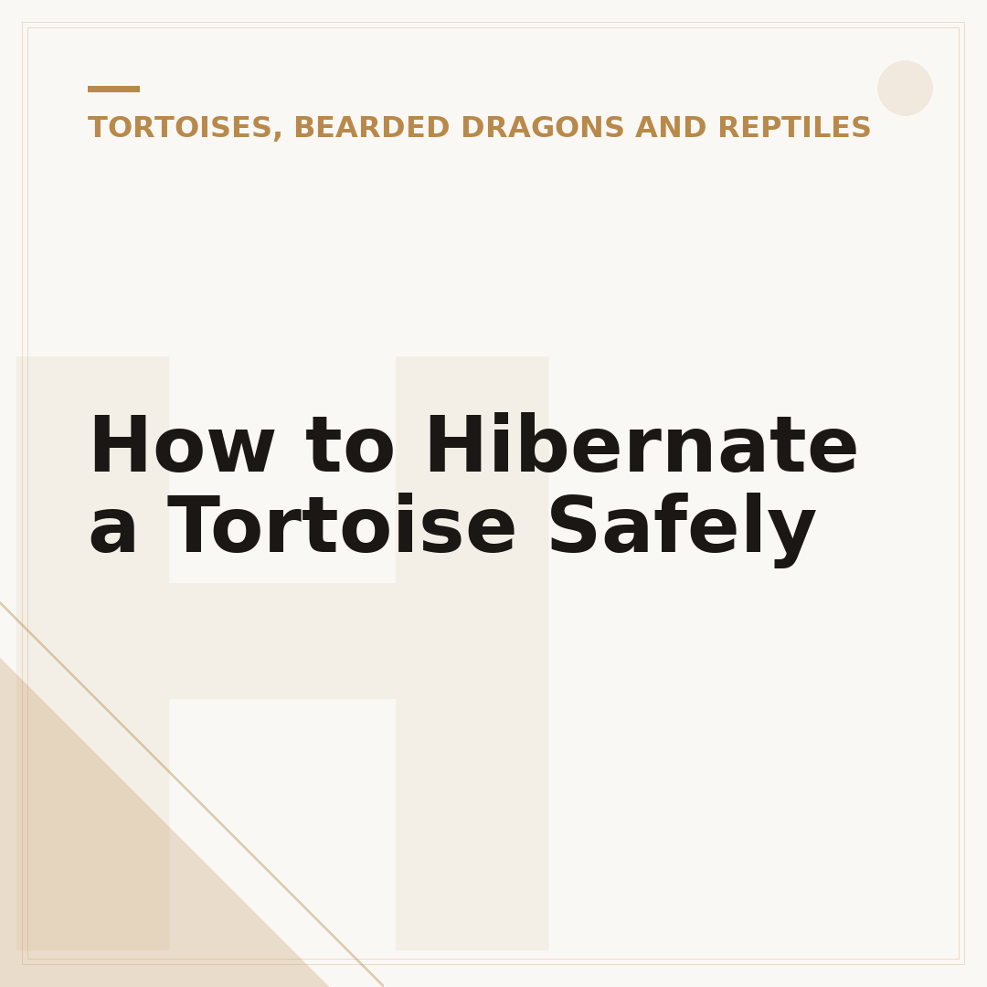 How to Hibernate a Tortoise Safely