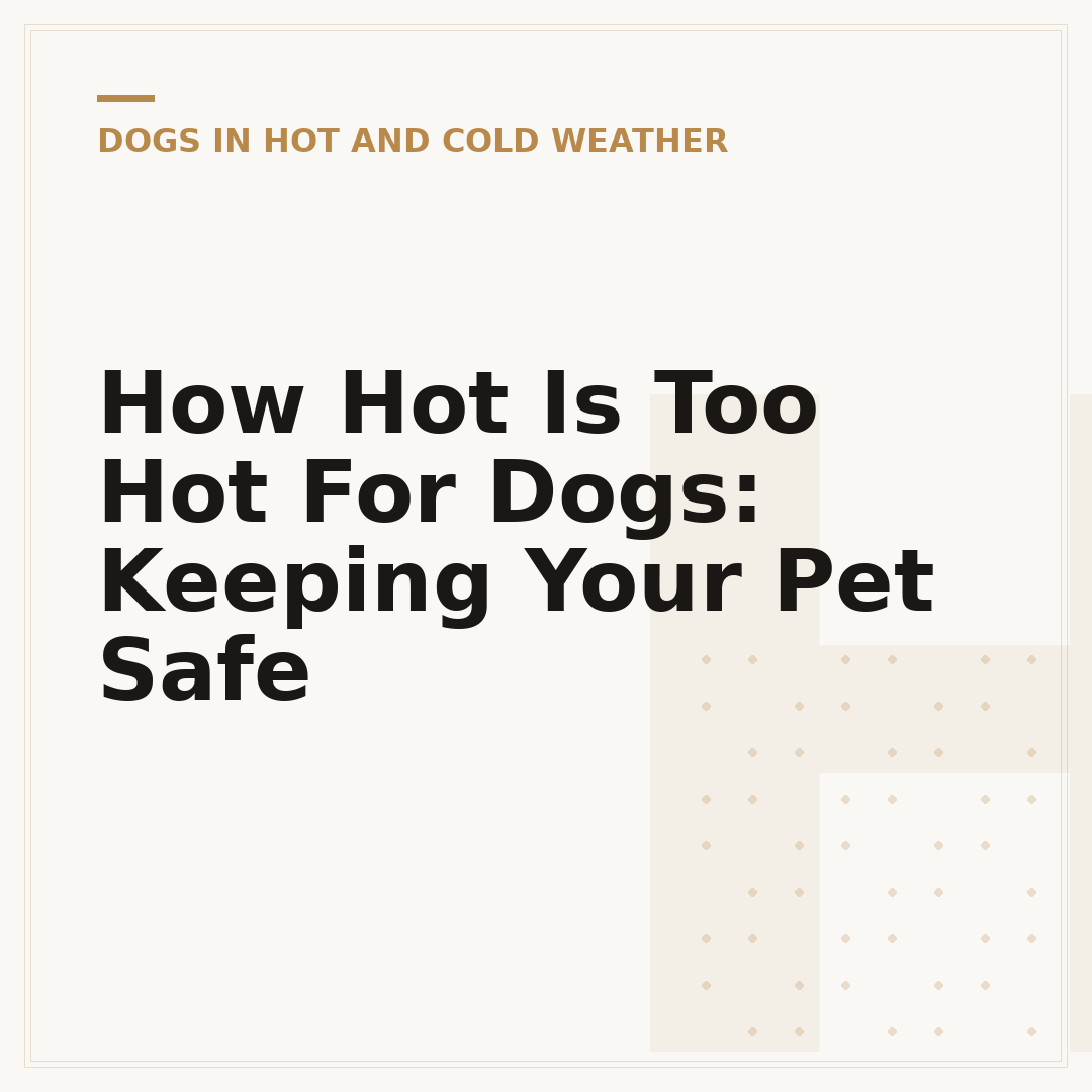 How Hot Is Too Hot For Dogs: Keeping Your Pet Safe
