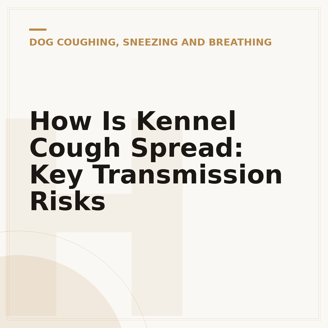 How Is Kennel Cough Spread: Key Transmission Risks