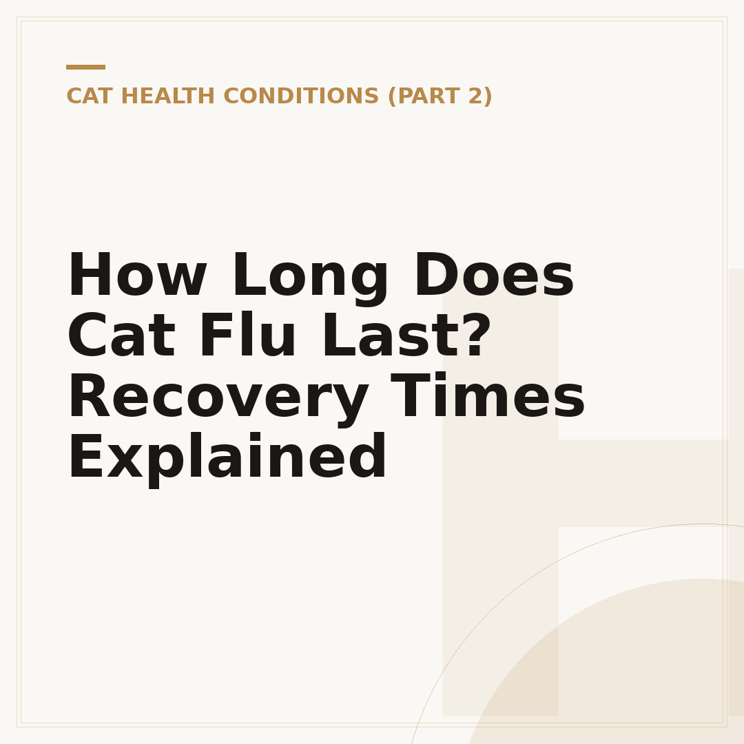 How Long Does Cat Flu Last? Recovery Times Explained