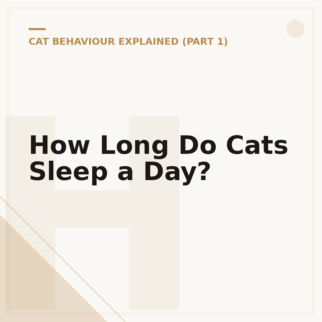 How Long Do Cats Sleep a Day?
