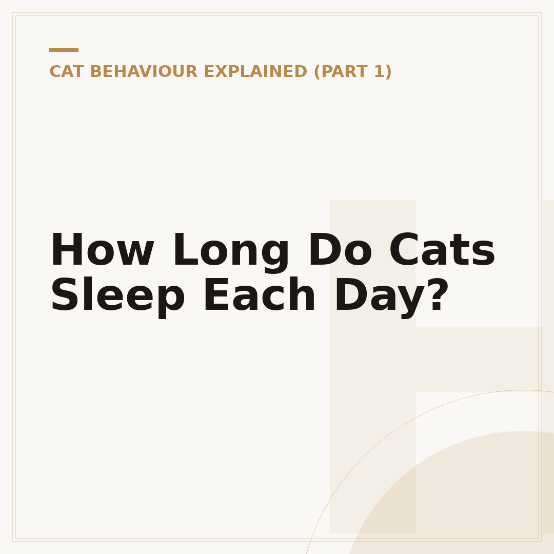 How Long Do Cats Sleep Each Day?