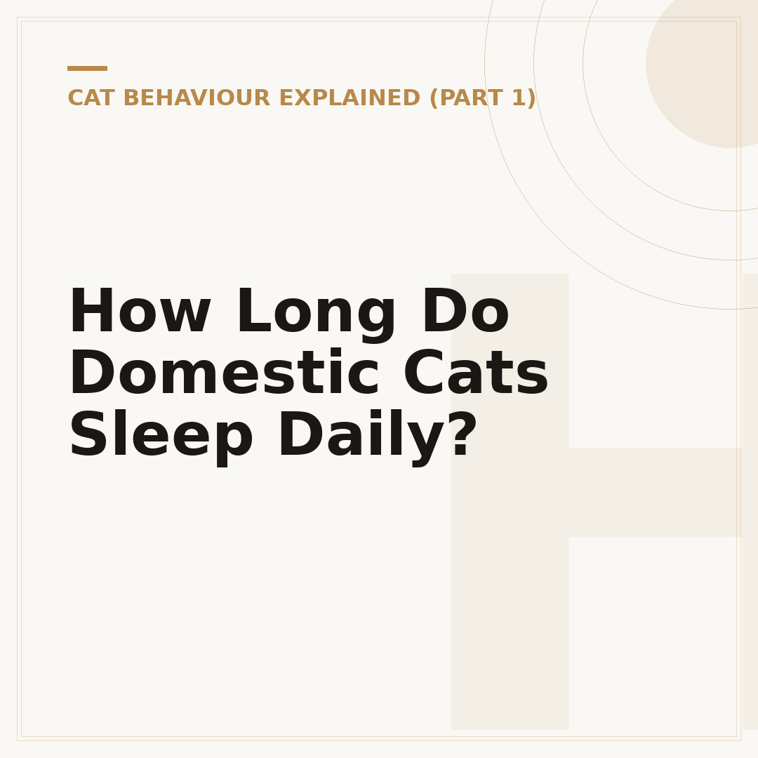 How Long Do Domestic Cats Sleep Daily?