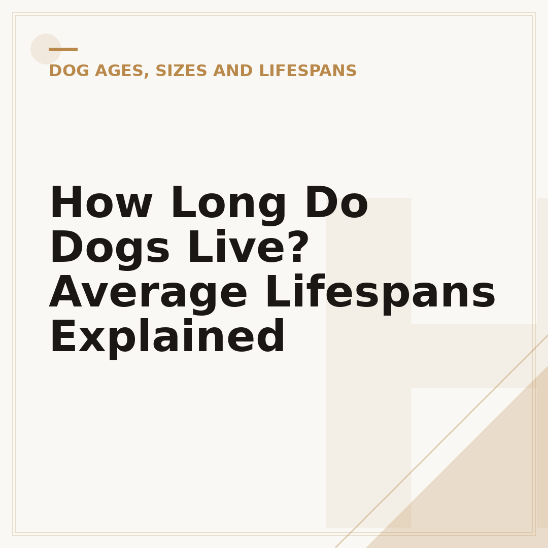 How Long Do Dogs Live? Average Lifespans Explained