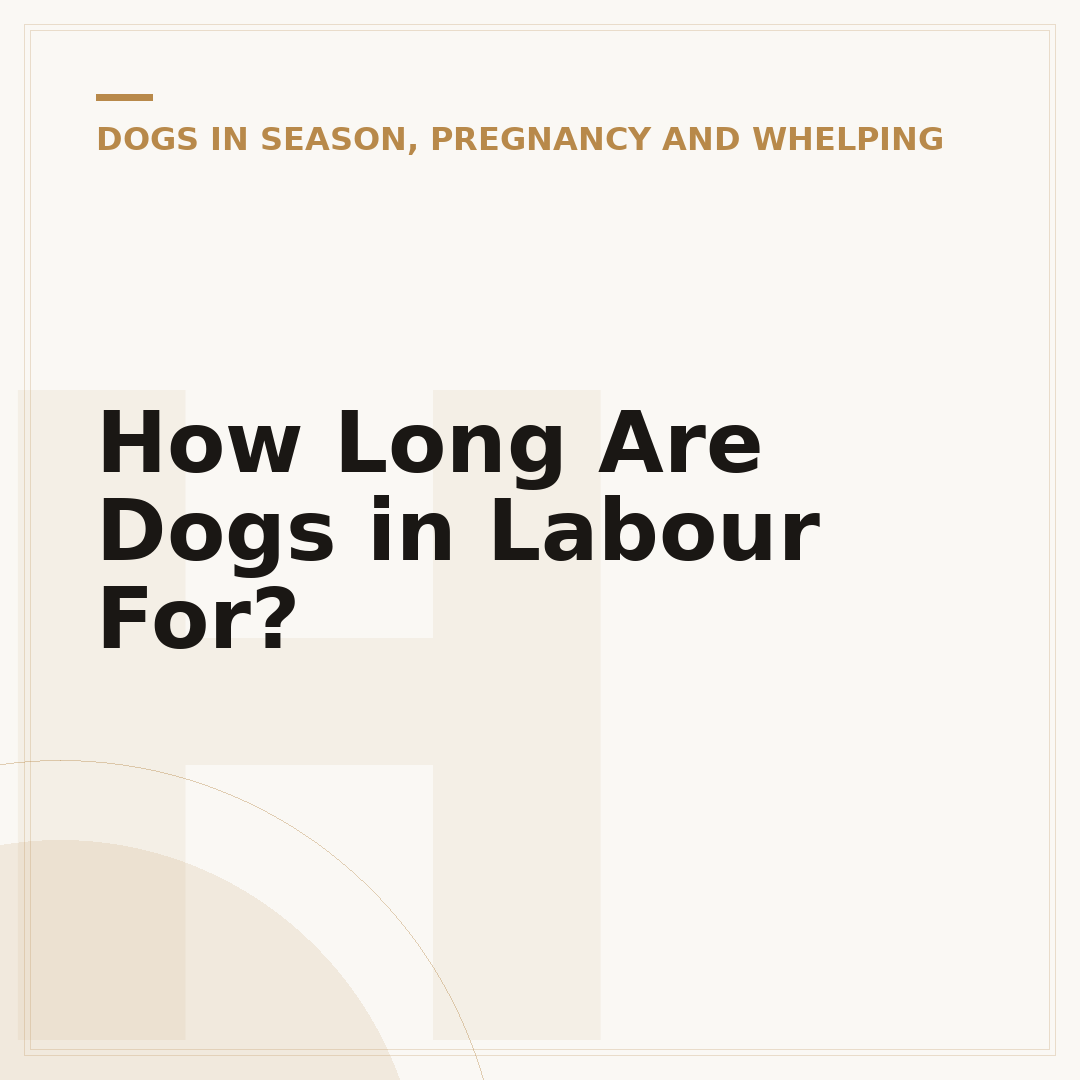 How Long Are Dogs in Labour For?