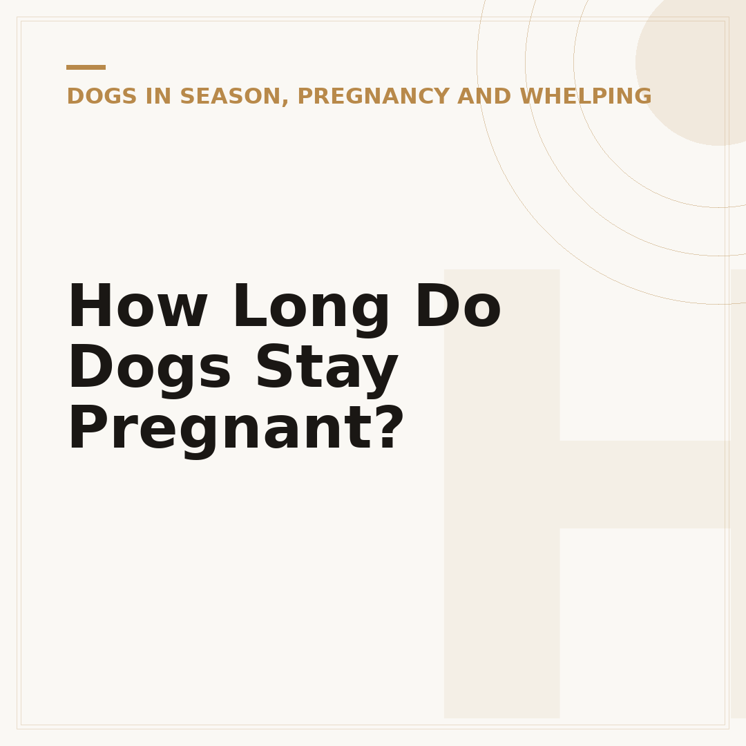 How Long Do Dogs Stay Pregnant?