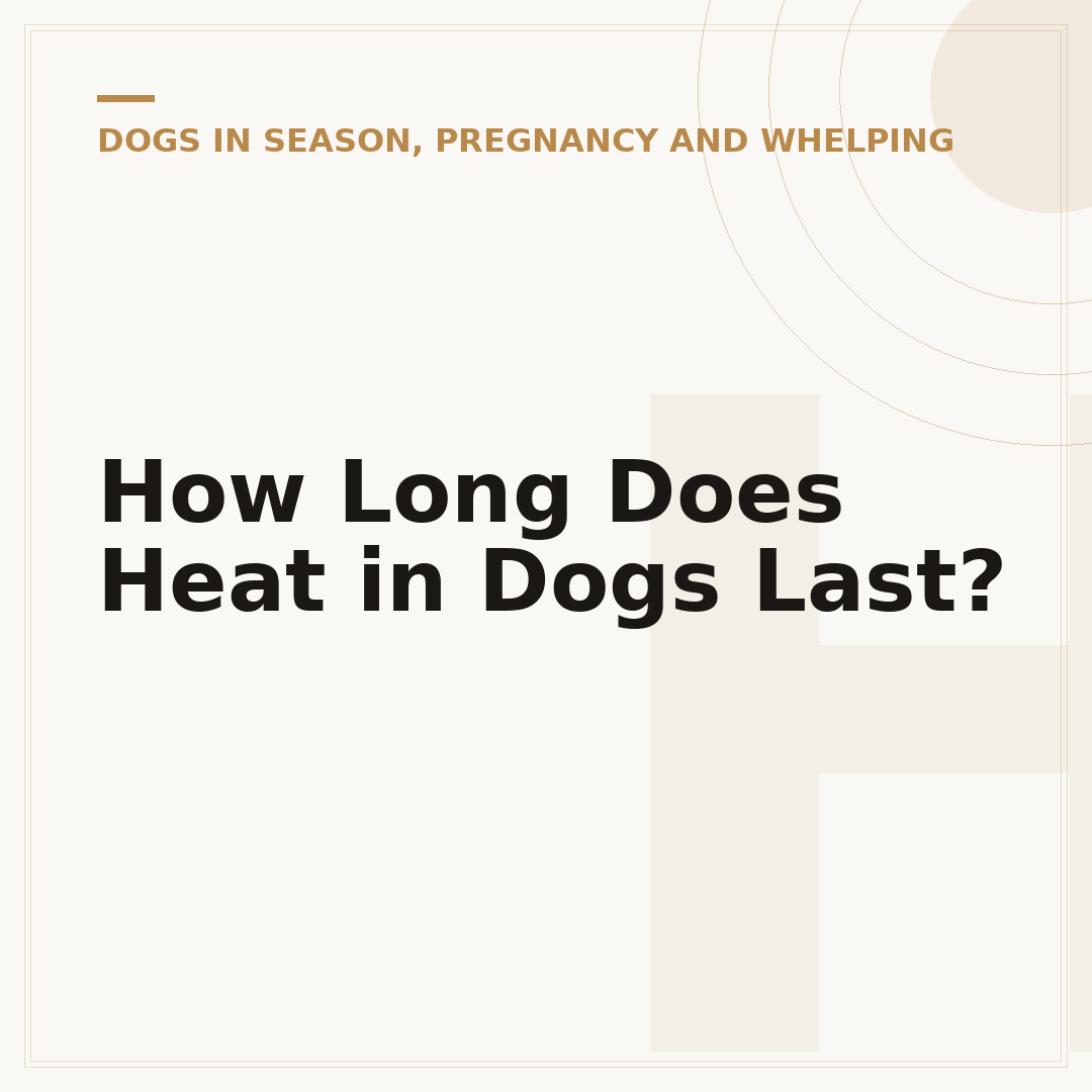How Long Does Heat in Dogs Last?
