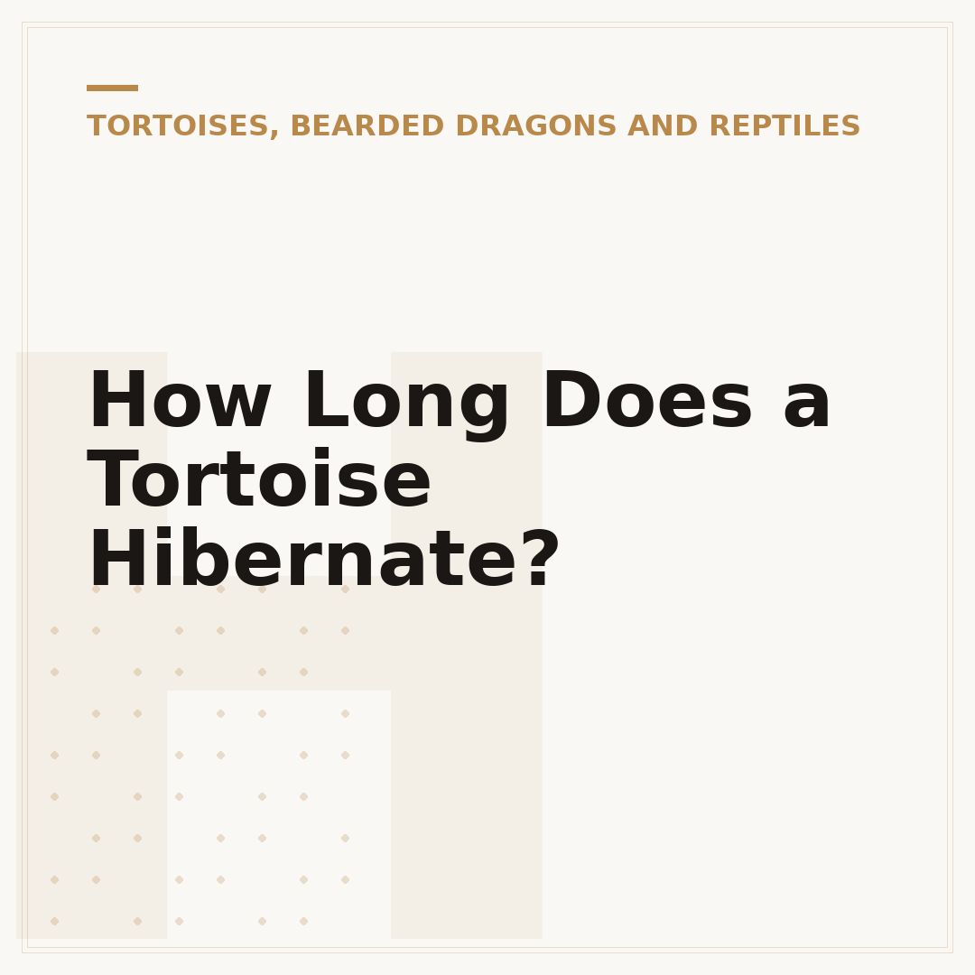 How Long Does a Tortoise Hibernate?