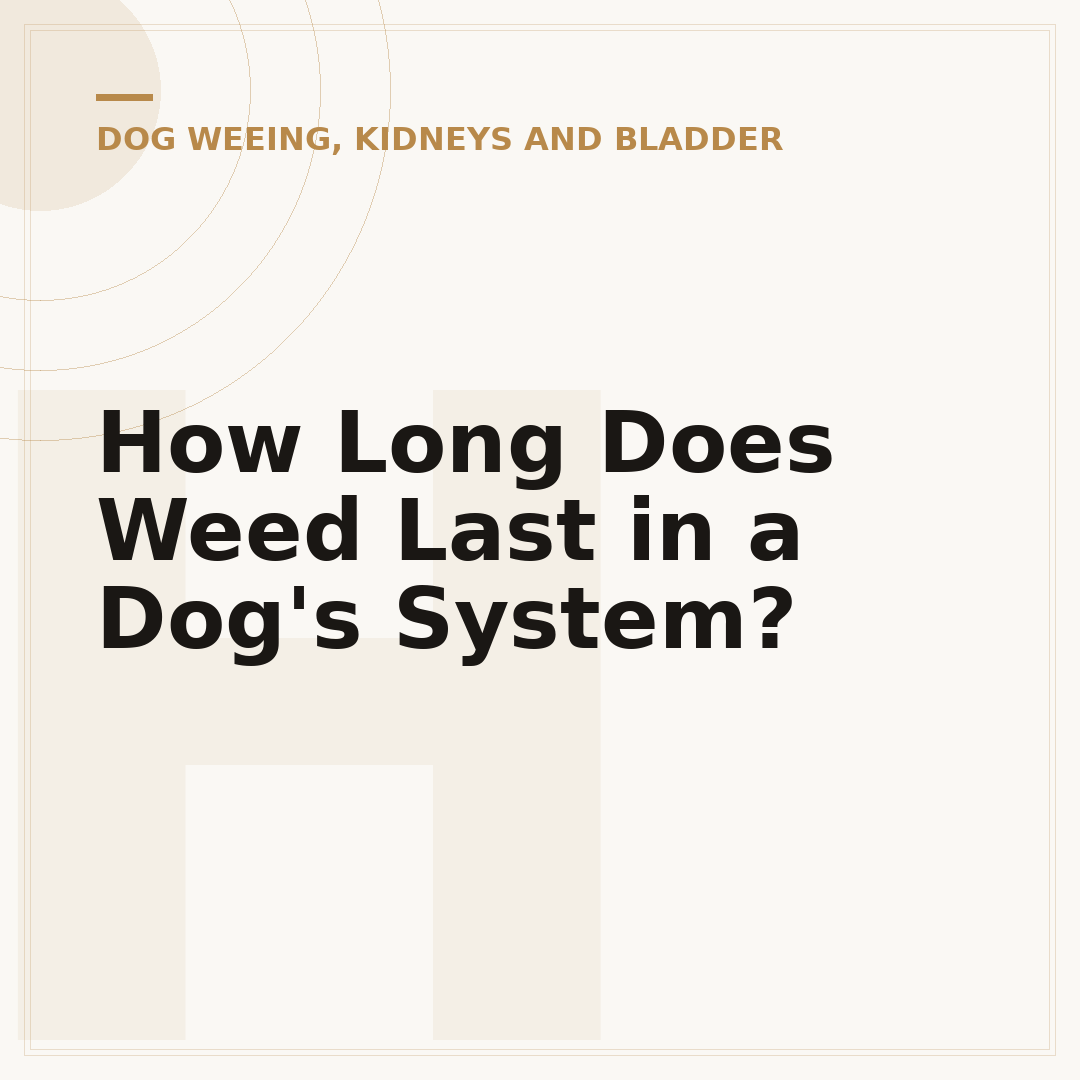 How Long Does Weed Last in a Dog's System?