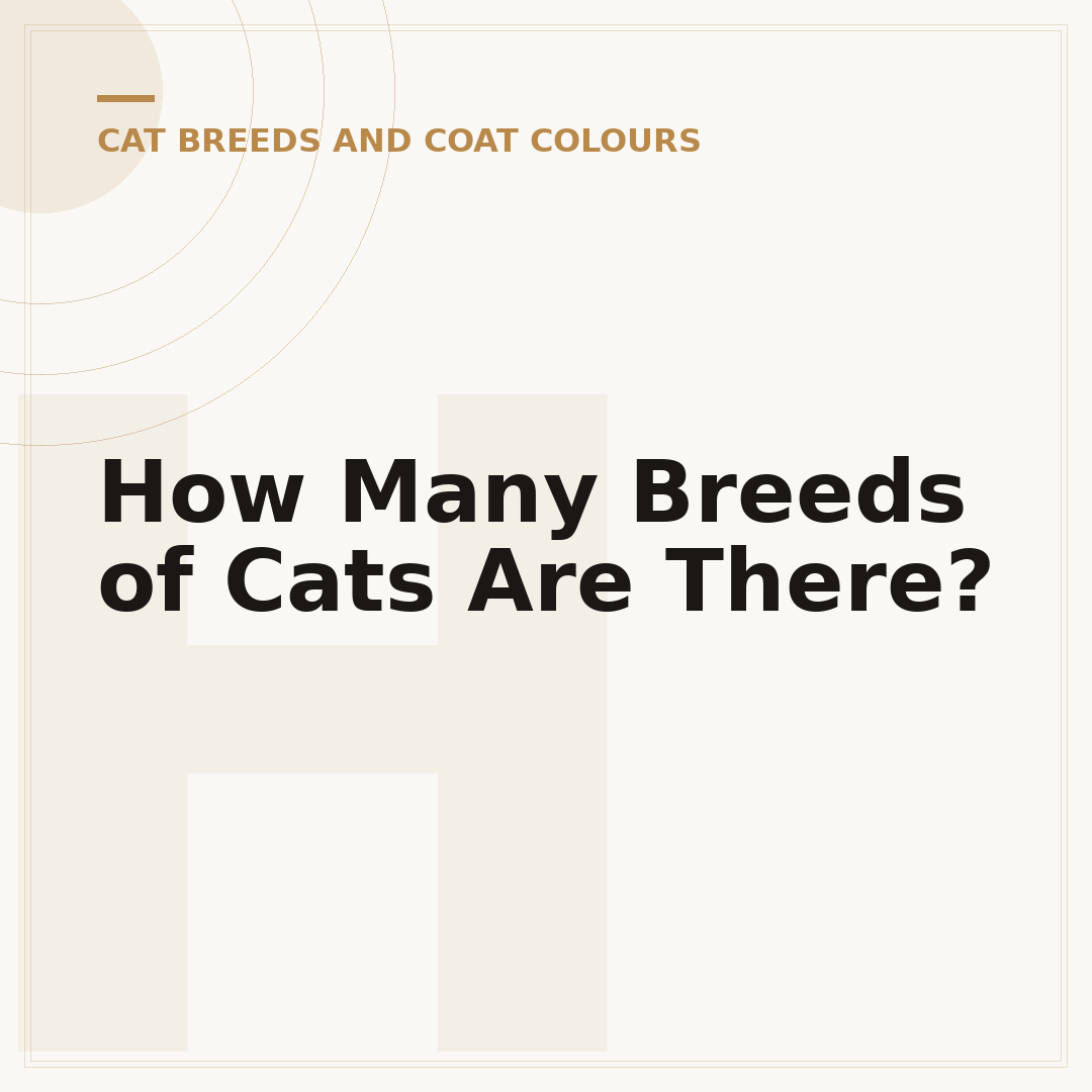 How Many Breeds of Cats Are There?