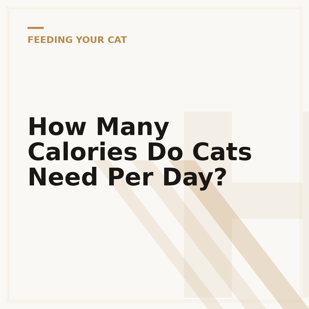 How Many Calories Do Cats Need Per Day?