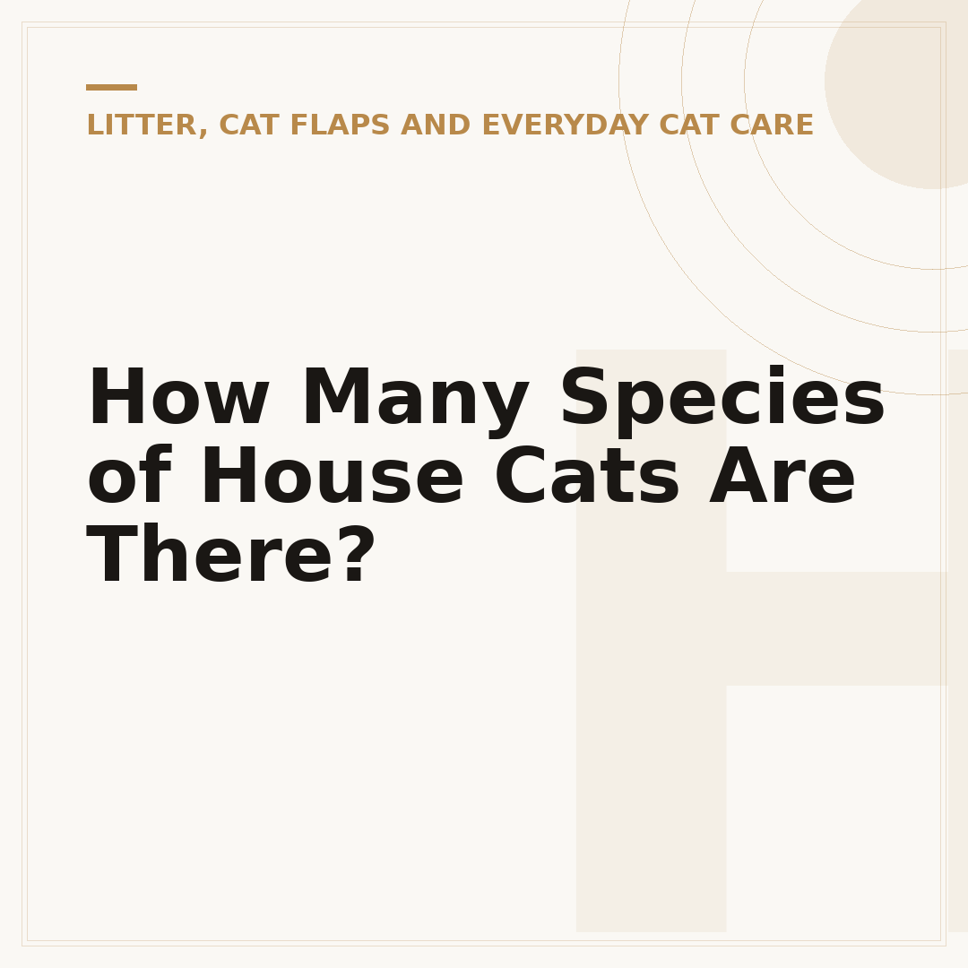 How Many Species of House Cats Are There?