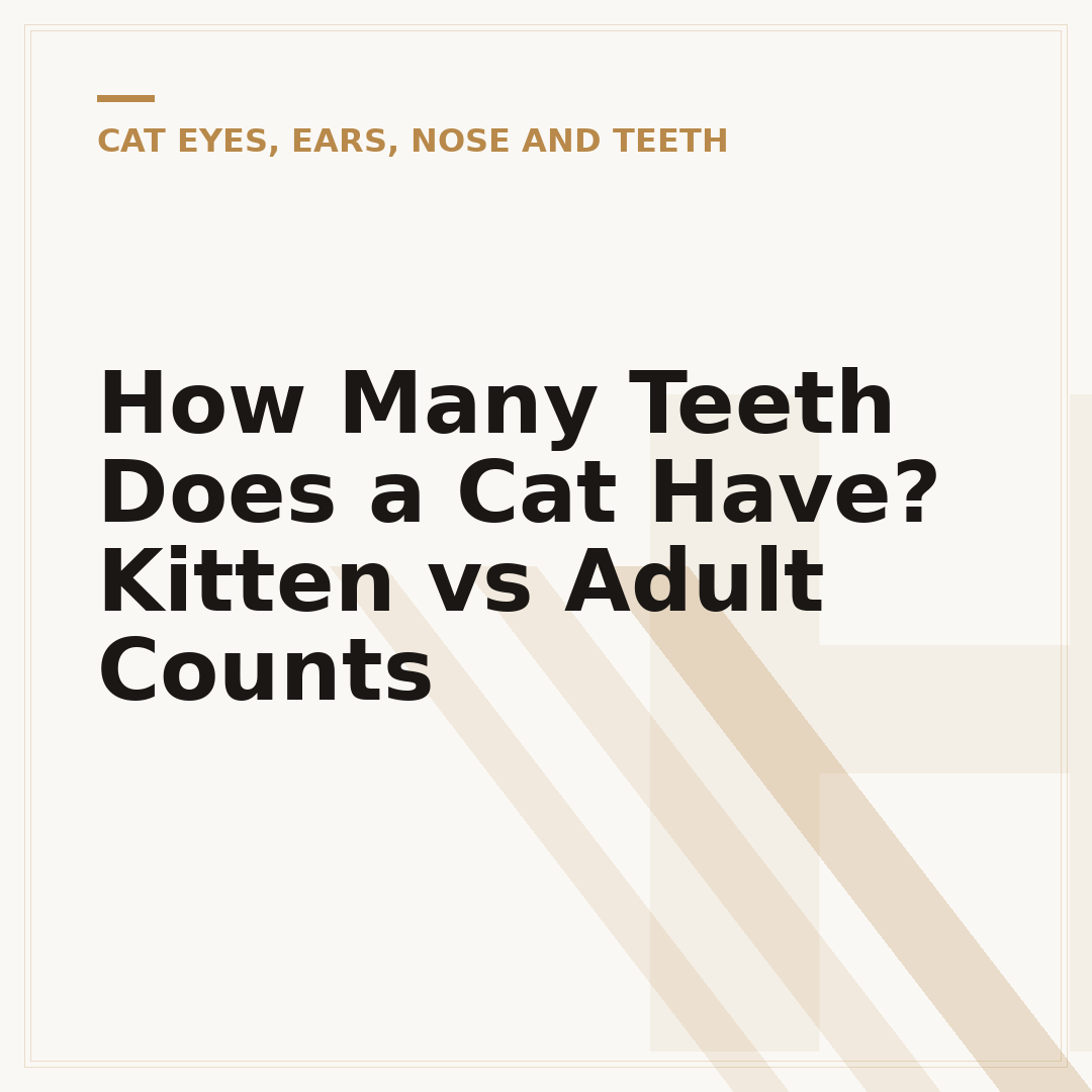 How Many Teeth Does a Cat Have? Kitten vs Adult Counts