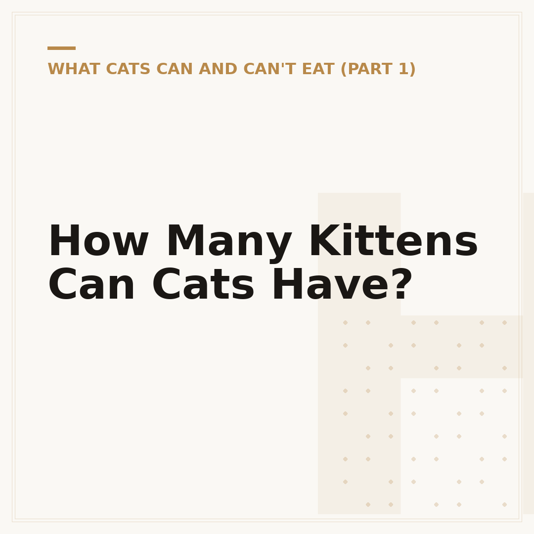 How Many Kittens Can Cats Have?