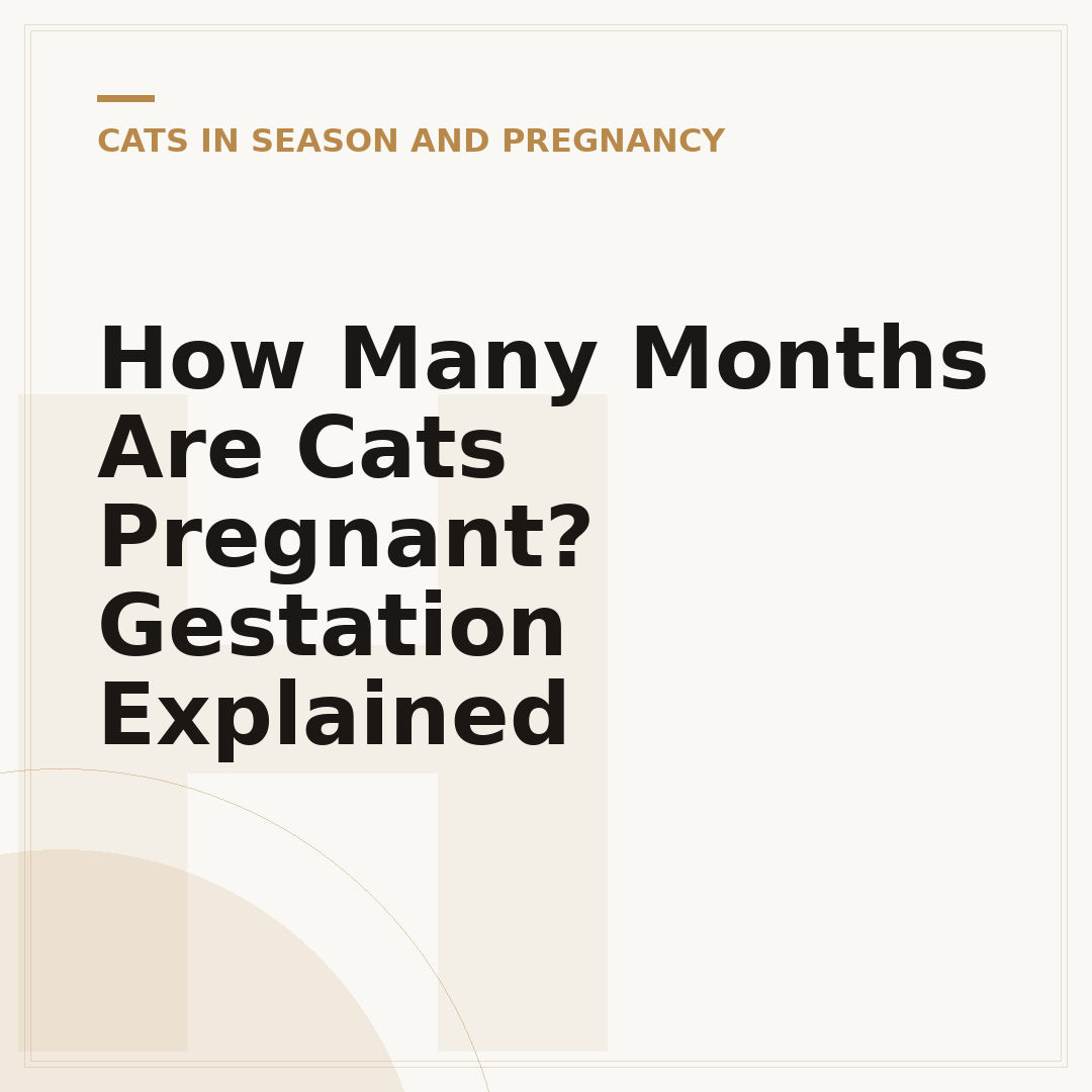 How Many Months Are Cats Pregnant? Gestation Explained