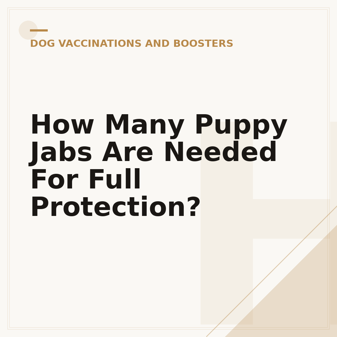 How Many Puppy Jabs Are Needed For Full Protection?