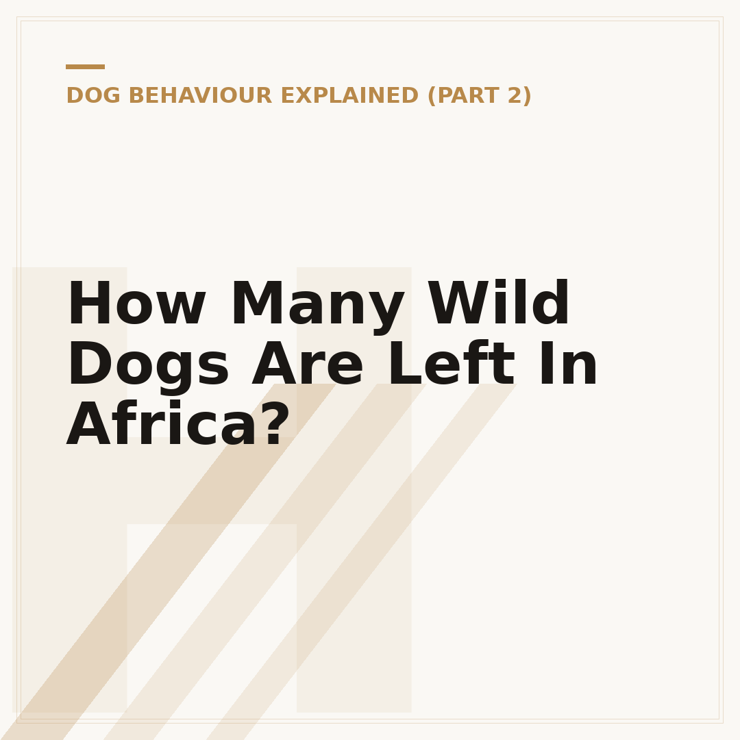 How Many Wild Dogs Are Left In Africa?