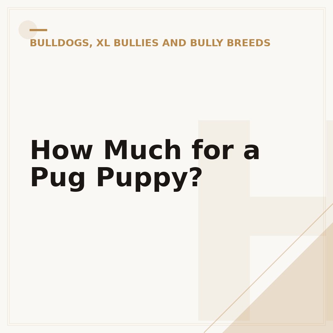 How Much for a Pug Puppy?