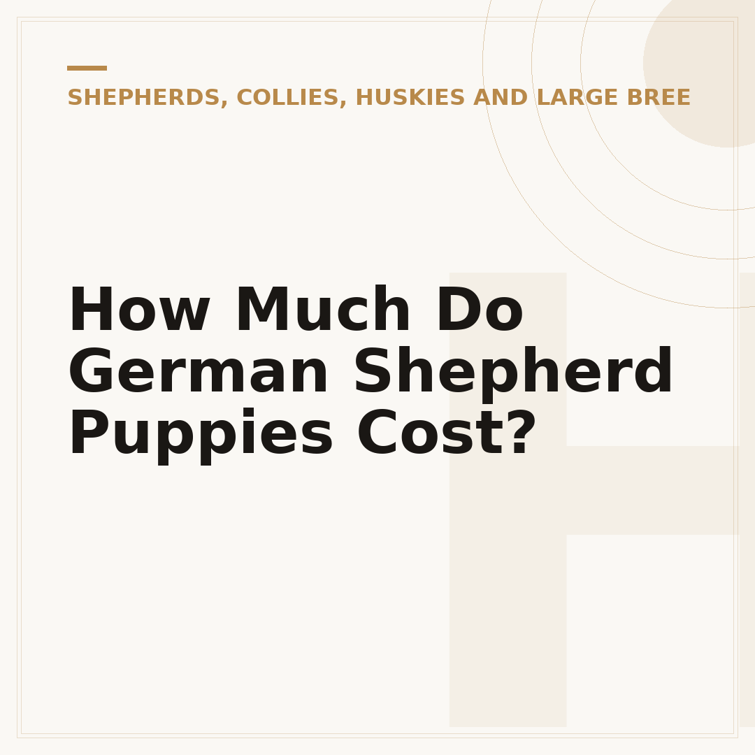 How Much Do German Shepherd Puppies Cost?