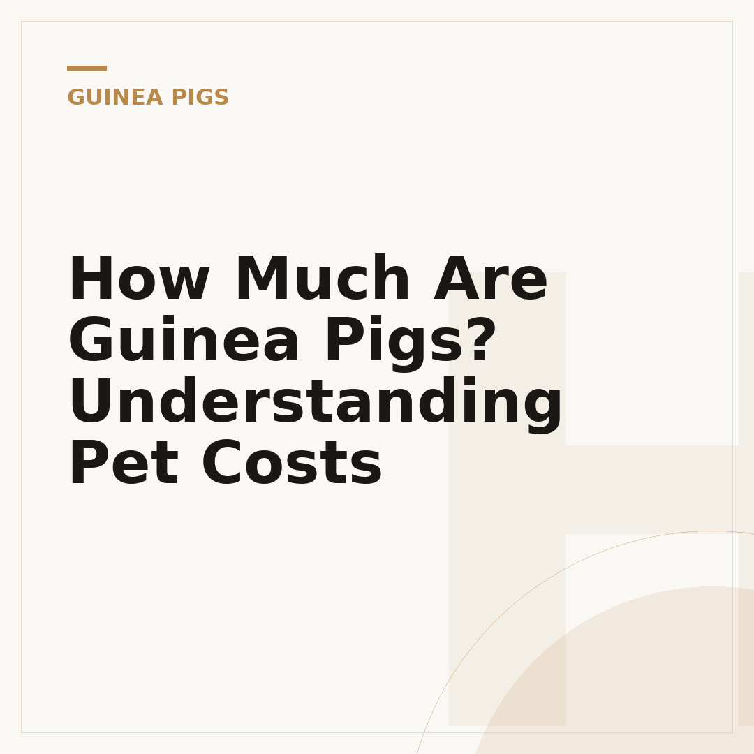 How Much Are Guinea Pigs? Understanding Pet Costs