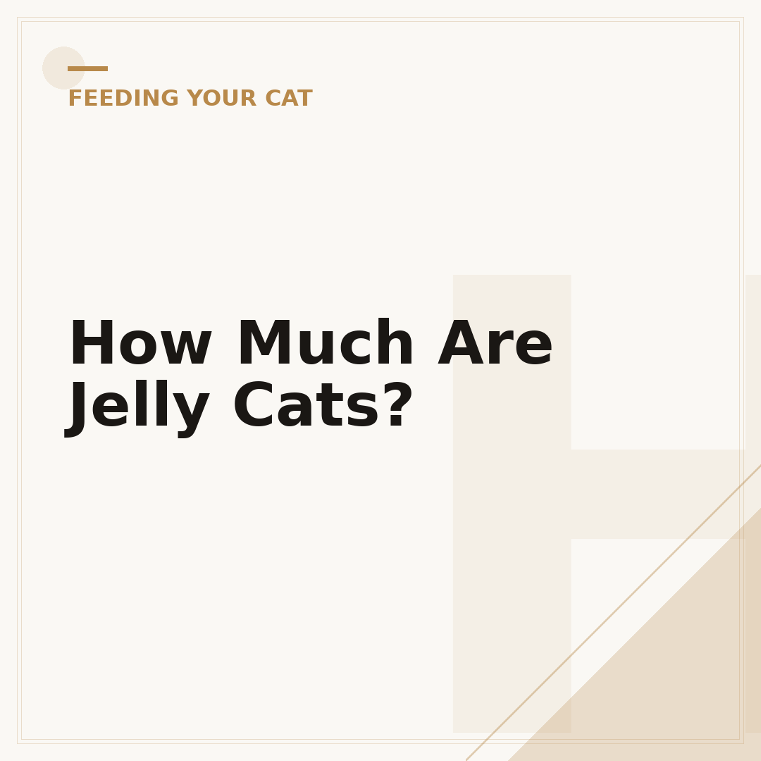 How Much Are Jelly Cats?