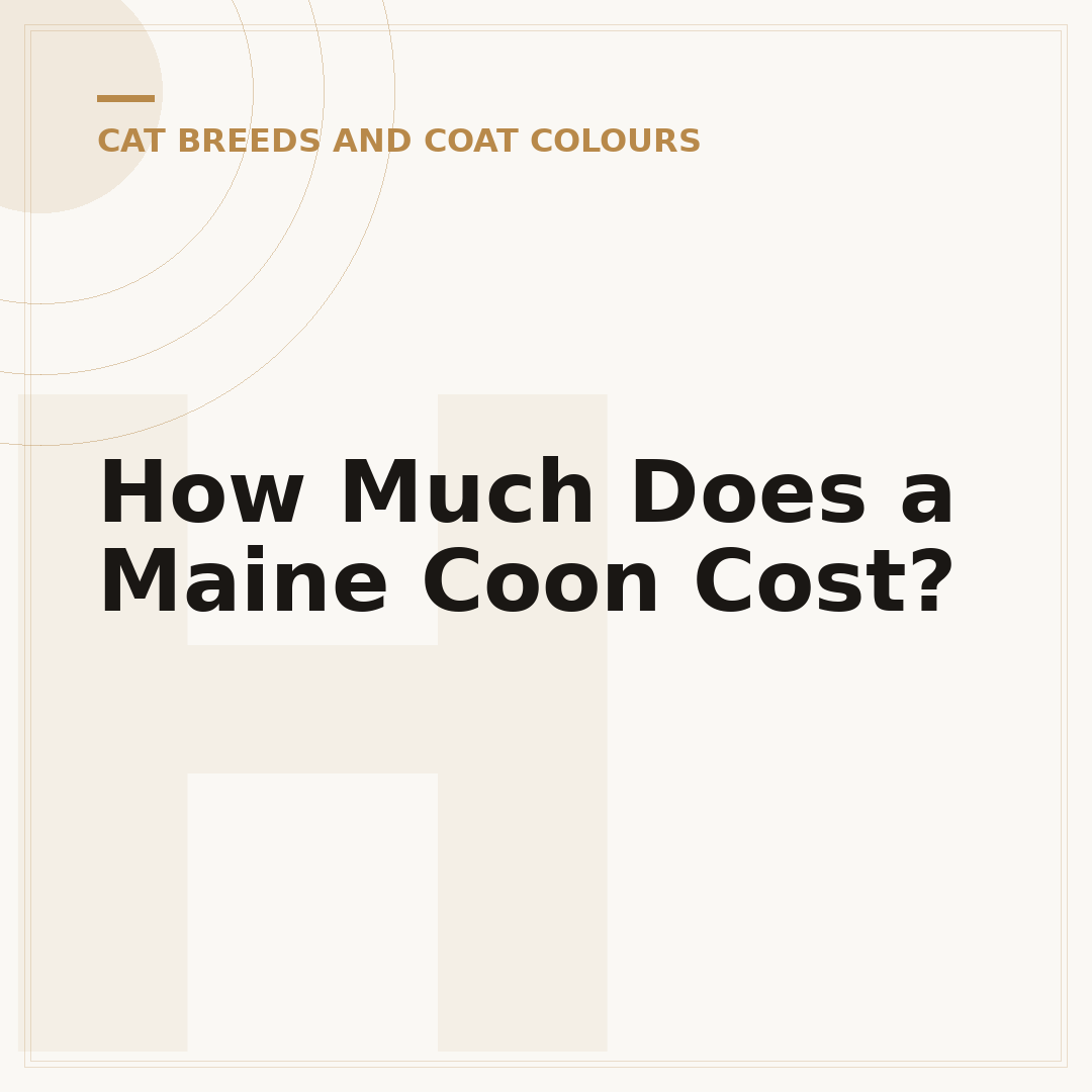 How Much Does a Maine Coon Cost?