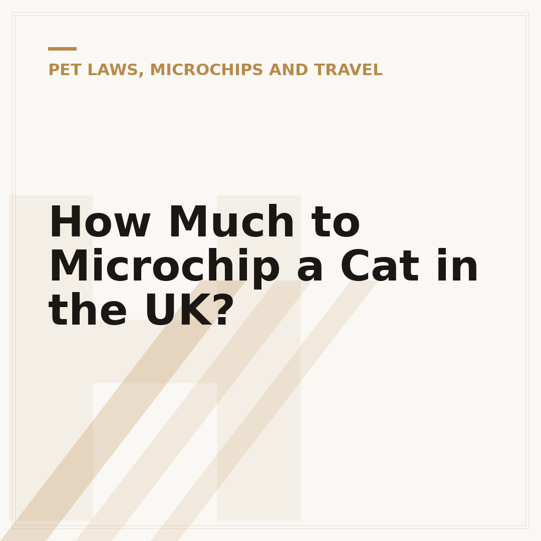 How Much to Microchip a Cat in the UK?